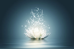 mindfulness theme lotus flower